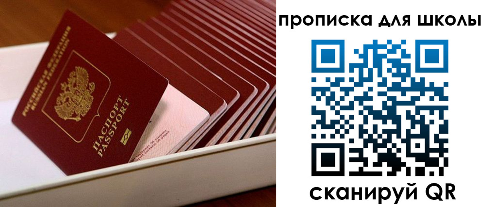 временная регистрация гарантия в Пущино